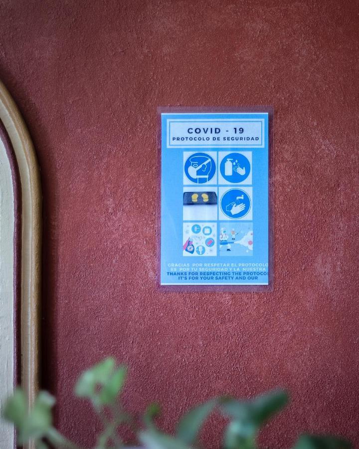 Casa Del Sotano Hotel Oaxaca Buitenkant foto